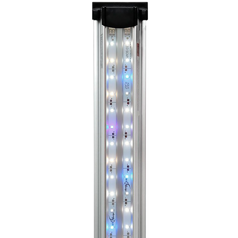   LED Scape Aqua Plant (80 .)