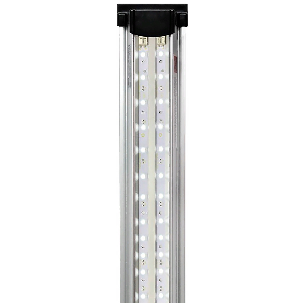   LED Scape Day Light (125 .)