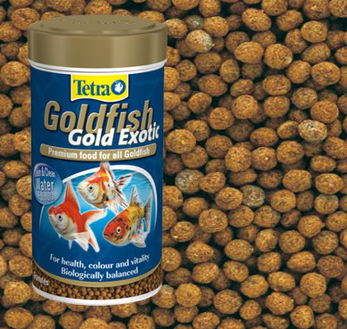  Tetra Goldfish Gold Exotic 100.