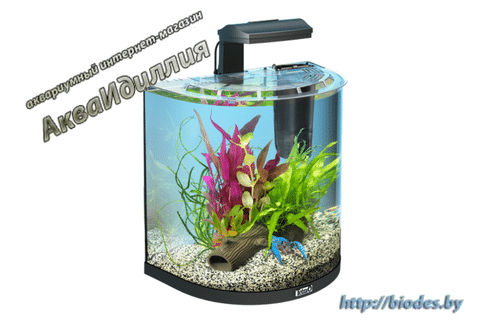 Tetra AquaArt LED Explorer Line Aquarium Set 30L -  