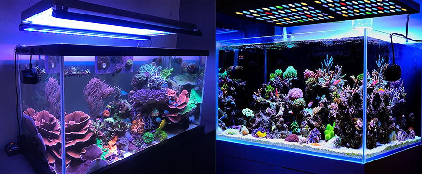 Подводная подсветка для аквариума