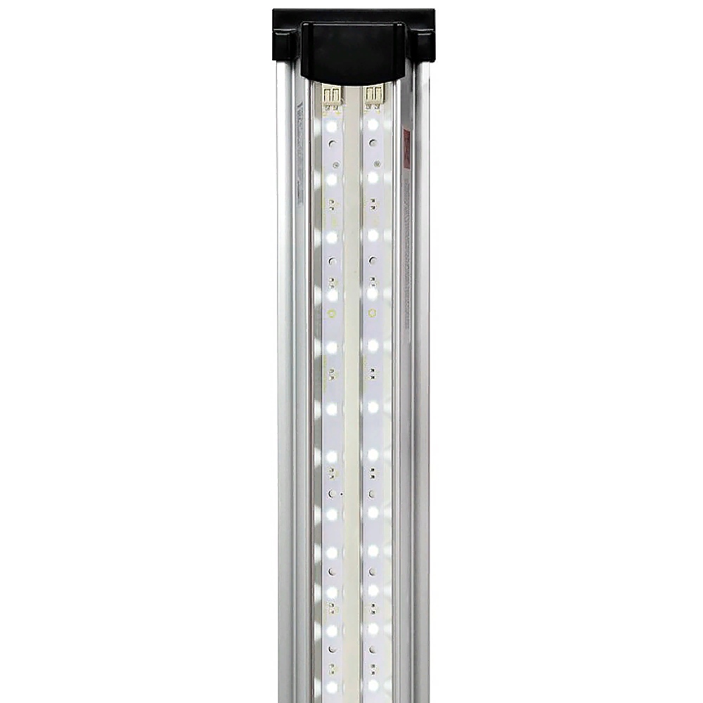   LED Scape Sun Light (160 .)