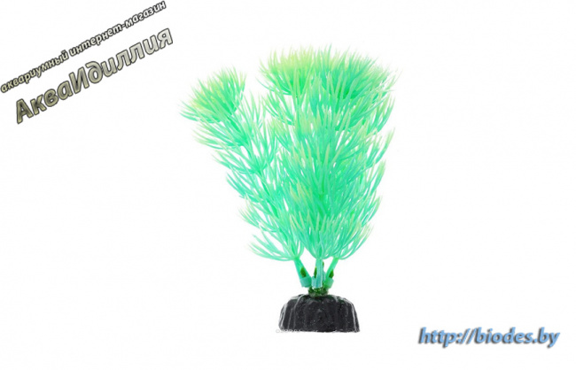 Растение светящееся Barbus Plant 055 Dark/10  10 см