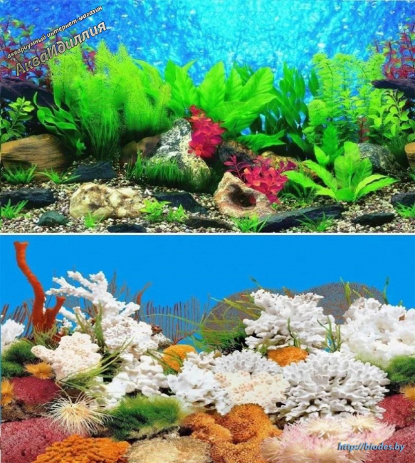 Фон для аквариума Background 012 Гавайи/Коралловый риф 60см