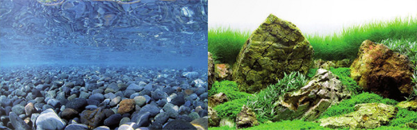 Фон двусторонний для аквариума Hagen River Rock/Sea of Green