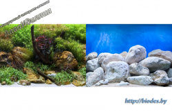 Фон плотный Водный сад/ Яркие камни Background 017  45х94см2ст