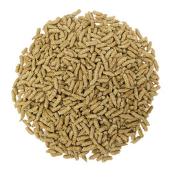 Корм для прудовых рыб- фото6