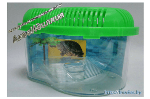 Пластиковый аквариум для черепахи с фоном и пальмой в комплекте