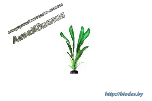 Растение шелковое Plant 046 20 см