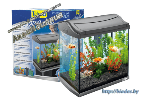 Tetra AquaArt Aquarium Complete Set Discover Line 30L - аквариумные комплекты для ракообразных и креветок