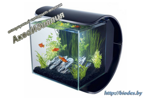 Tetra Silhouette LED Tank 12л Силуэт - аквариум